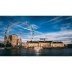 Stage en Recherche et Support Services Sociaux à Londres